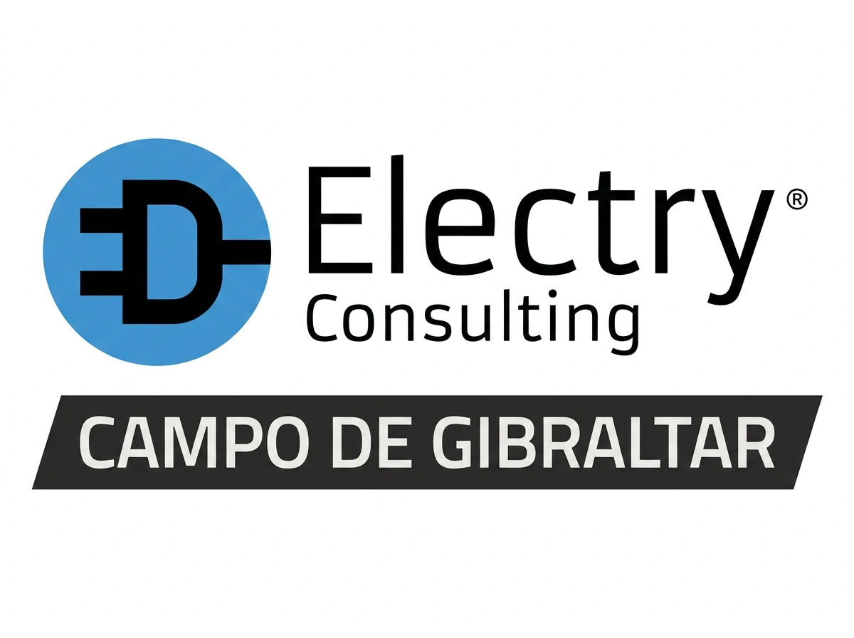 electry-consulting